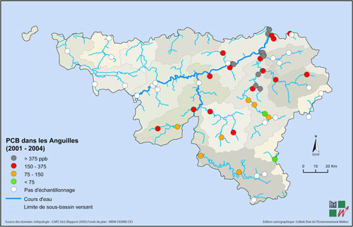 Carte de la teneur en PCB dans les anguilles pêchées en Wallonie