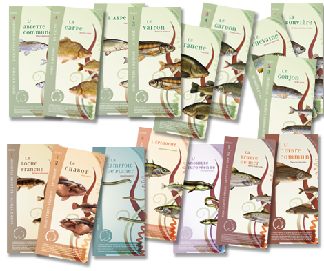 Brochures de présentation des espèces piscicoles